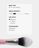 Tapered Brush